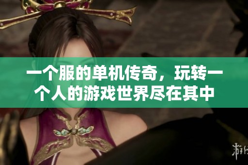 一个服的单机传奇，玩转一个人的游戏世界尽在其中