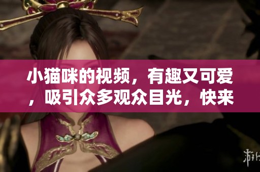小猫咪的视频，有趣又可爱，吸引众多观众目光，快来一起欣赏吧