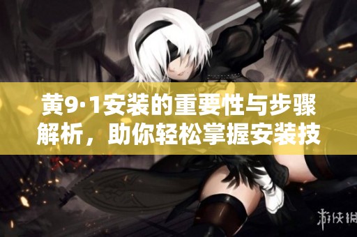 黄9·1安装的重要性与步骤解析，助你轻松掌握安装技巧！