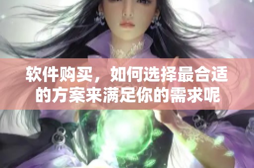 软件购买，如何选择最合适的方案来满足你的需求呢