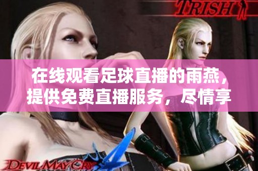 在线观看足球直播的雨燕，提供免费直播服务，尽情享受精彩赛事