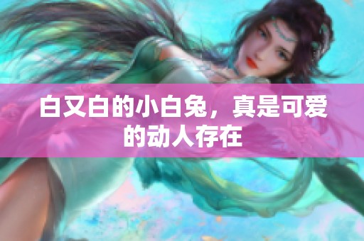 白又白的小白兔，真是可爱的动人存在