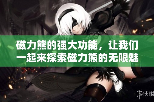 磁力熊的强大功能，让我们一起来探索磁力熊的无限魅力吧