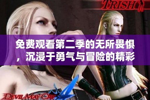 免费观看第二季的无所畏惧，沉浸于勇气与冒险的精彩世界