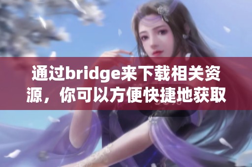 通过bridge来下载相关资源，你可以方便快捷地获取所需文件。