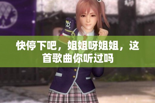 快停下吧，姐姐呀姐姐，这首歌曲你听过吗