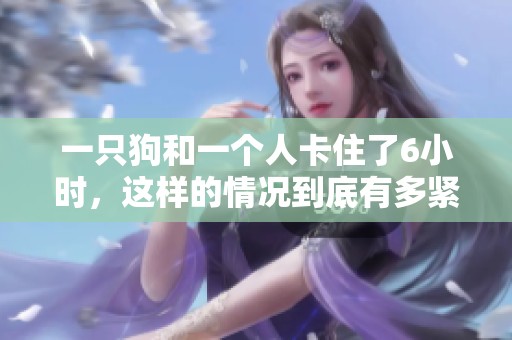 一只狗和一个人卡住了6小时，这样的情况到底有多紧急呢