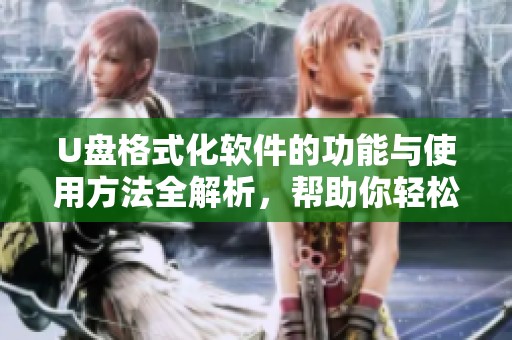 U盘格式化软件的功能与使用方法全解析，帮助你轻松处理U盘问题
