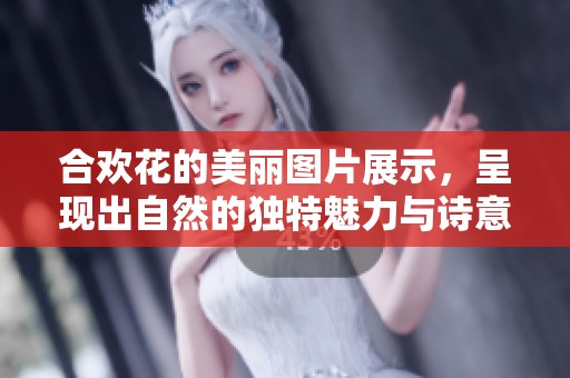 合欢花的美丽图片展示，呈现出自然的独特魅力与诗意之美