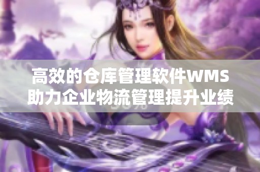 高效的仓库管理软件WMS助力企业物流管理提升业绩
