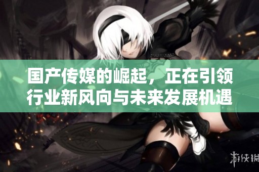 国产传媒的崛起，正在引领行业新风向与未来发展机遇
