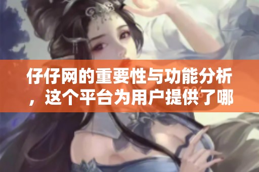 仔仔网的重要性与功能分析，这个平台为用户提供了哪些服务呢