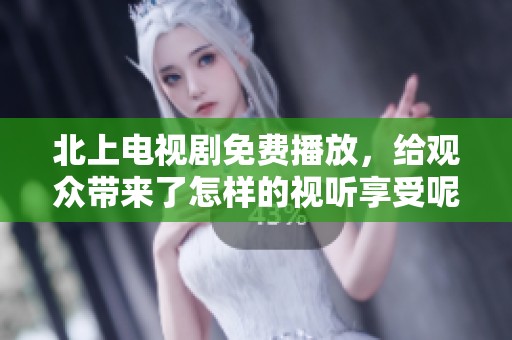 北上电视剧免费播放，给观众带来了怎样的视听享受呢