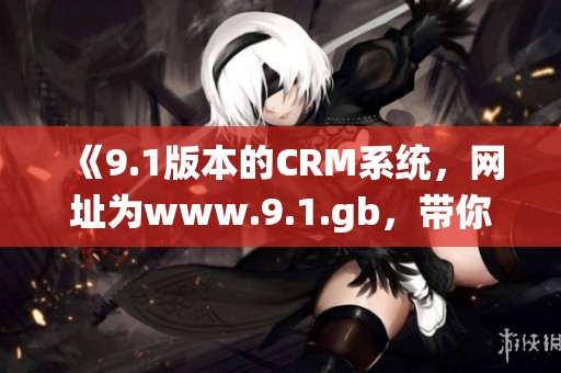 《9.1版本的CRM系统，网址为www.9.1.gb，带你探索新功能》