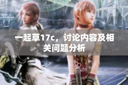 一起草17c，讨论内容及相关问题分析