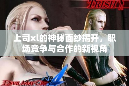 上司xl的神秘面纱揭开，职场竞争与合作的新视角