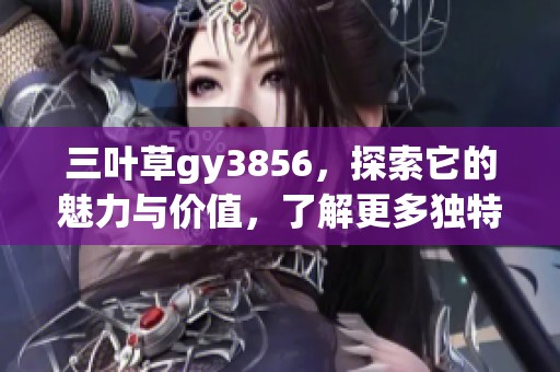 三叶草gy3856，探索它的魅力与价值，了解更多独特之处