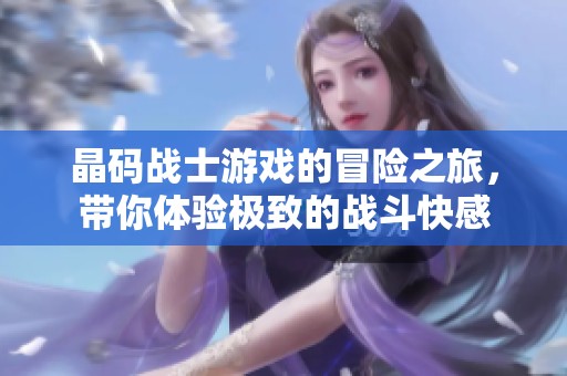 晶码战士游戏的冒险之旅，带你体验极致的战斗快感