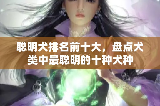聪明犬排名前十大，盘点犬类中最聪明的十种犬种