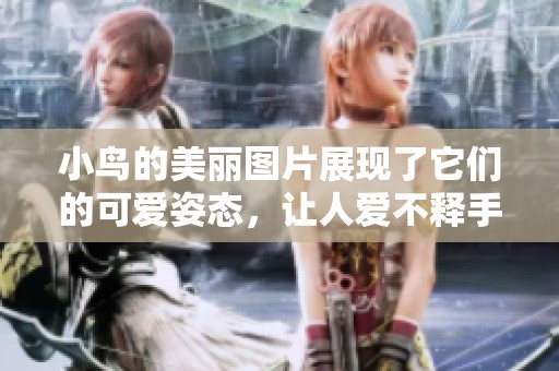 小鸟的美丽图片展现了它们的可爱姿态，让人爱不释手。
