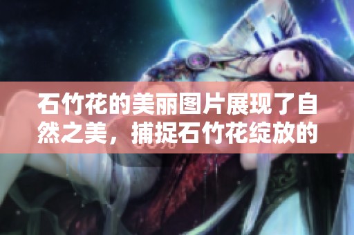石竹花的美丽图片展现了自然之美，捕捉石竹花绽放的迷人瞬间