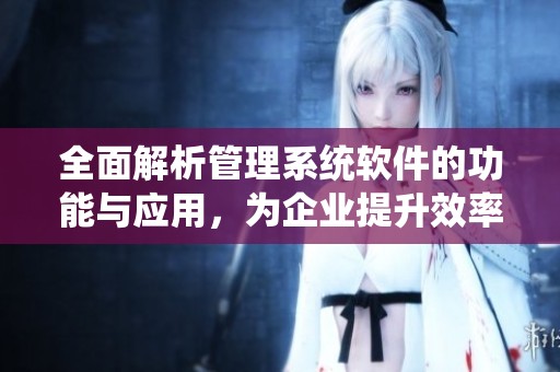 全面解析管理系统软件的功能与应用，为企业提升效率提供解决方案