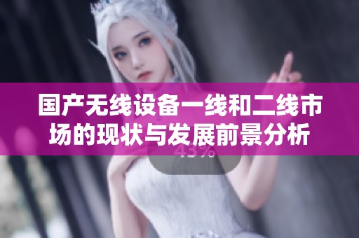 国产无线设备一线和二线市场的现状与发展前景分析
