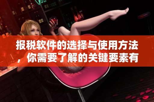 报税软件的选择与使用方法，你需要了解的关键要素有哪些