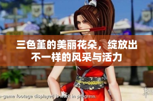 三色堇的美丽花朵，绽放出不一样的风采与活力