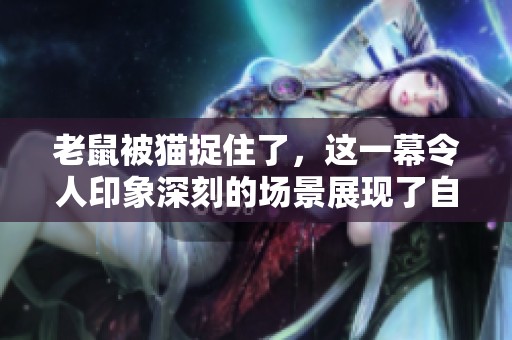 老鼠被猫捉住了，这一幕令人印象深刻的场景展现了自然的残酷与生存的法则