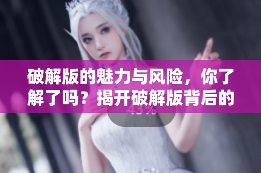 破解版的魅力与风险，你了解了吗？揭开破解版背后的秘密与影响。