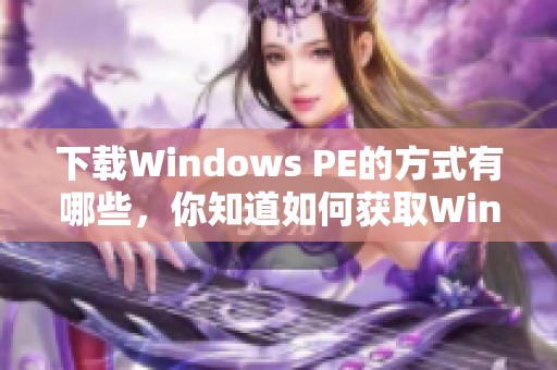 下载Windows PE的方式有哪些，你知道如何获取Windows PE吗？