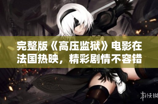 完整版《高压监狱》电影在法国热映，精彩剧情不容错过