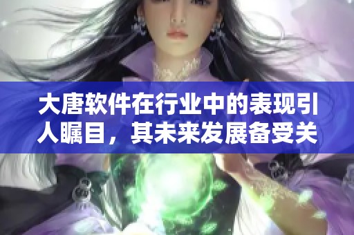 大唐软件在行业中的表现引人瞩目，其未来发展备受关注和期待