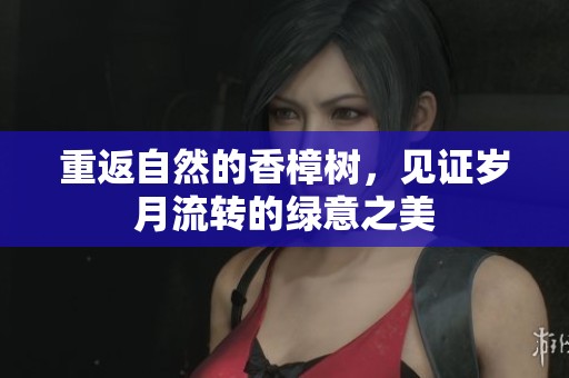 重返自然的香樟树，见证岁月流转的绿意之美