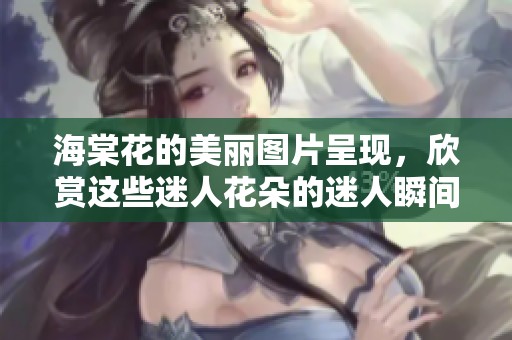 海棠花的美丽图片呈现，欣赏这些迷人花朵的迷人瞬间