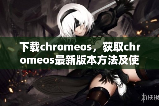下载chromeos，获取chromeos最新版本方法及使用技巧揭秘