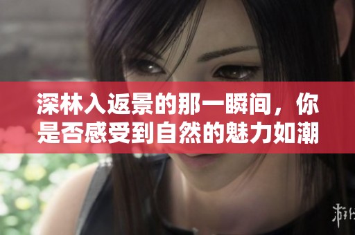 深林入返景的那一瞬间，你是否感受到自然的魅力如潮水般涌来
