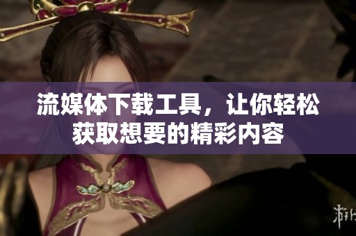 流媒体下载工具，让你轻松获取想要的精彩内容