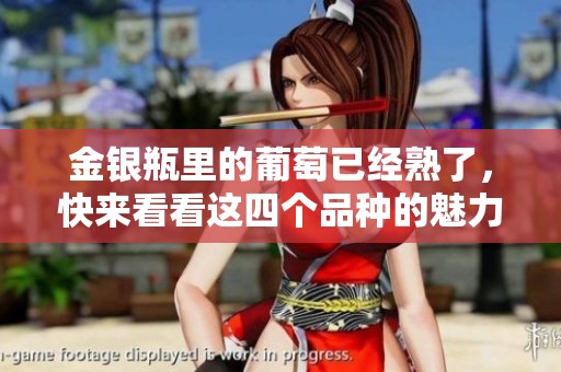 金银瓶里的葡萄已经熟了，快来看看这四个品种的魅力吧