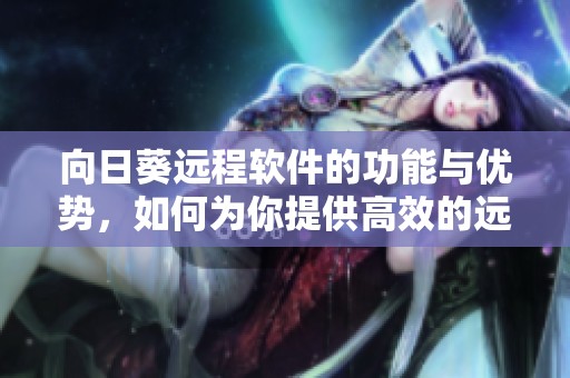 向日葵远程软件的功能与优势，如何为你提供高效的远程办公体验