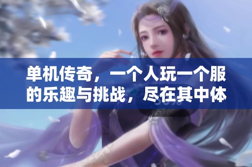 单机传奇，一个人玩一个服的乐趣与挑战，尽在其中体验无限可能