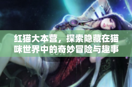 红猫大本营，探索隐藏在猫咪世界中的奇妙冒险与趣事！