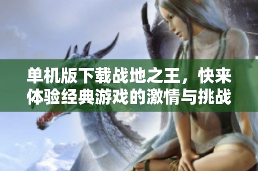 单机版下载战地之王，快来体验经典游戏的激情与挑战！