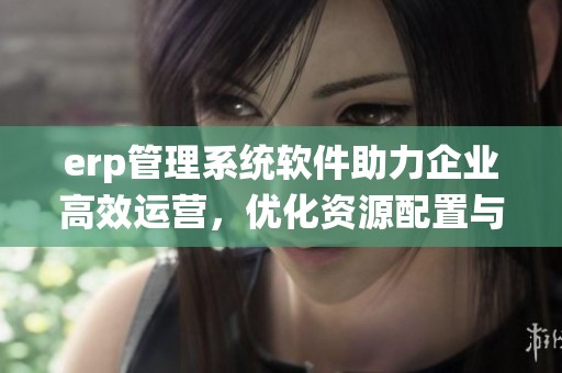 erp管理系统软件助力企业高效运营，优化资源配置与流程管理