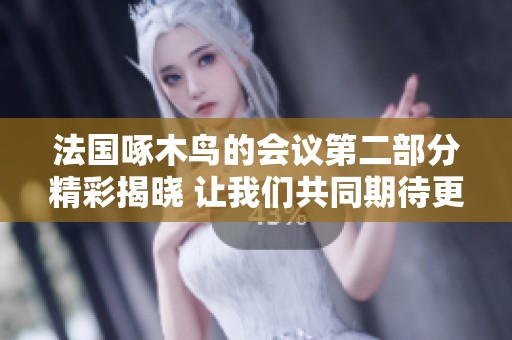 法国啄木鸟的会议第二部分精彩揭晓 让我们共同期待更多内容