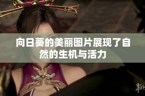 向日葵的美丽图片展现了自然的生机与活力