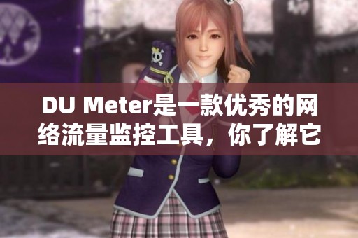 DU Meter是一款优秀的网络流量监控工具，你了解它的功能吗？