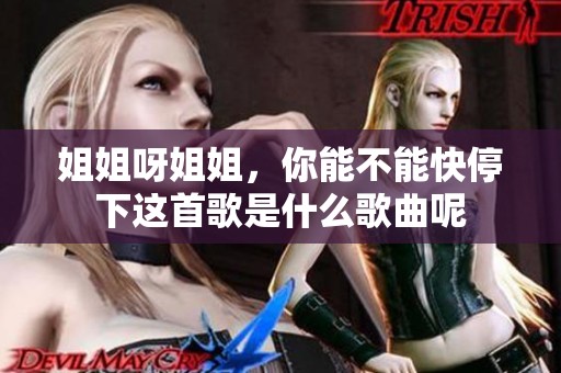 姐姐呀姐姐，你能不能快停下这首歌是什么歌曲呢