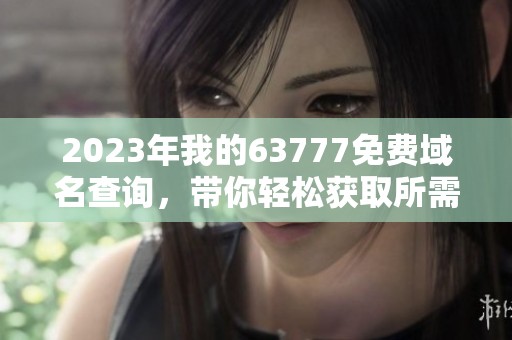 2023年我的63777免费域名查询，带你轻松获取所需信息